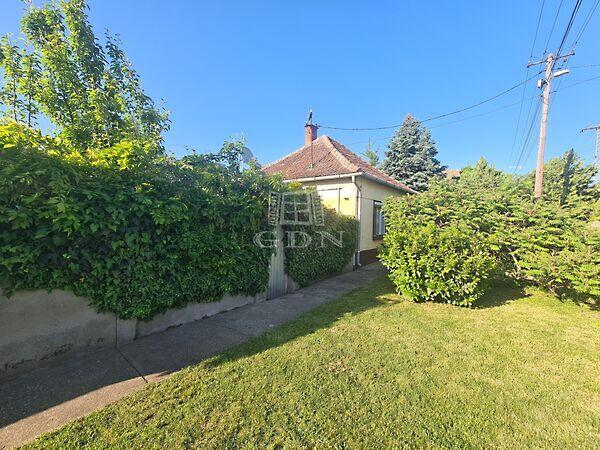 Arany János, Bácsalmás képe