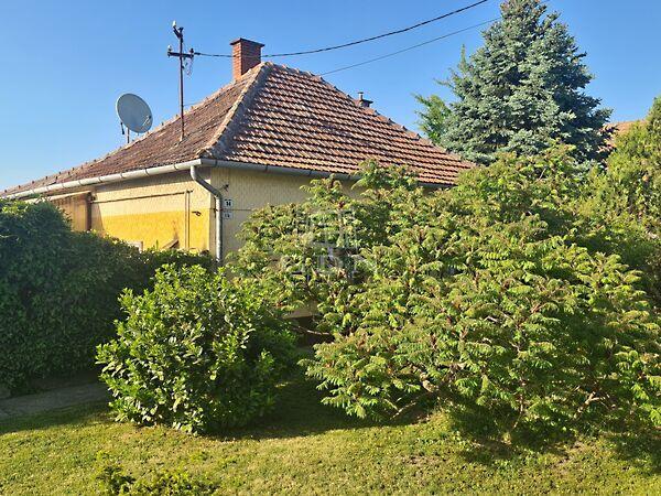 Arany János, Bácsalmás 3. képe