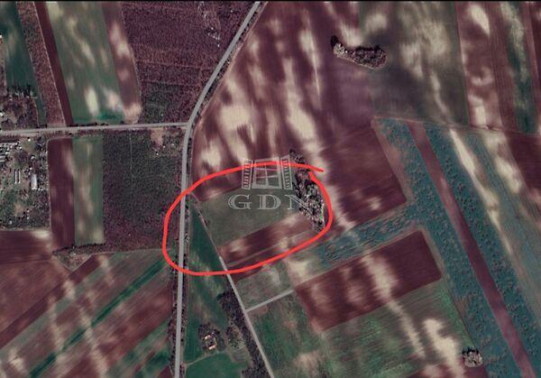 Bácsalmás 3. képe