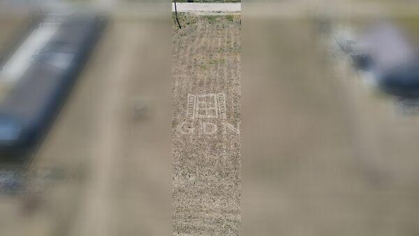 Penny, Tura 3. képe