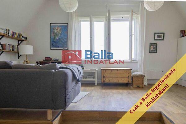 ZIVATAR, Budapest, II. kerület 2. képe