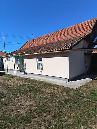 Zagyvarékas 2. képe