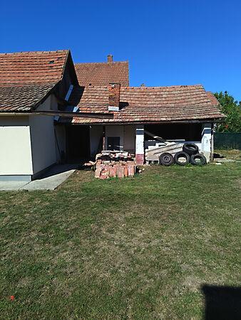 Zagyvarékas 3. képe