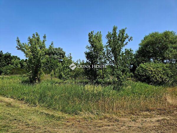 Rábapatona 2. képe