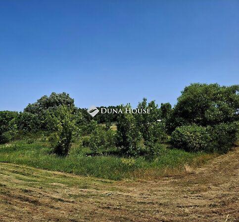 Rábapatona 3. képe