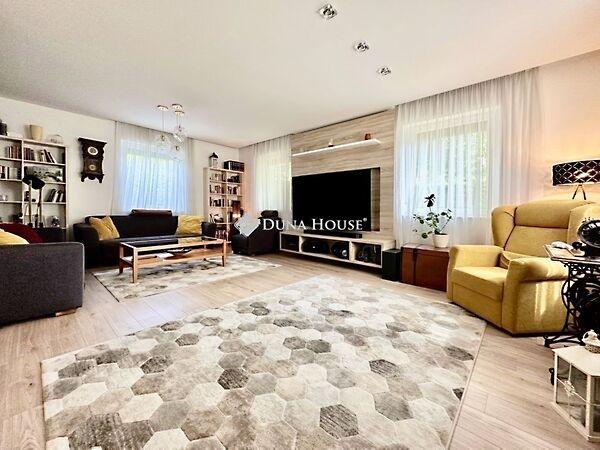 József Attila, Kozármisleny képe