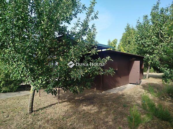 Dózsa György, Csákvár 2. képe