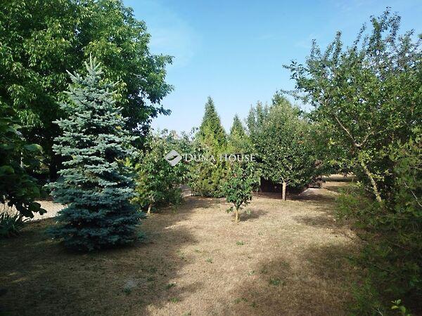 Dózsa György, Csákvár 3. képe