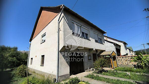 Táncsics Mihály, Putnok 2. képe