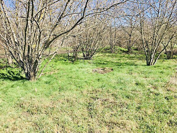 Dorogi, Budapest, X. kerület 3. képe