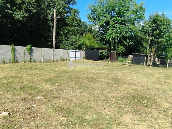 Keszeg, Tatabánya 2. képe