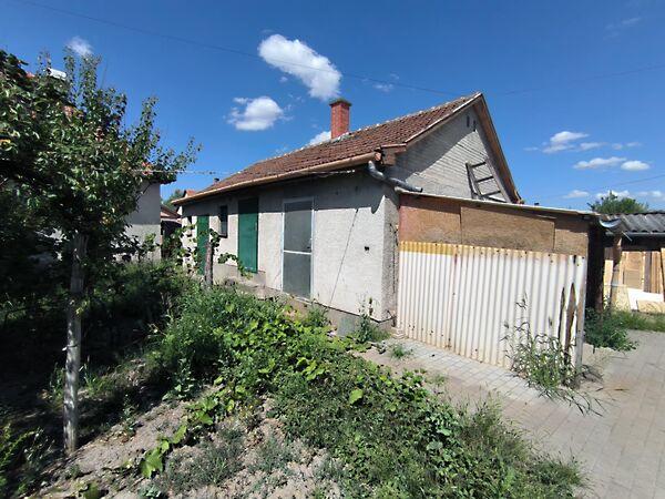 Nád, Kiskunhalas 2. képe