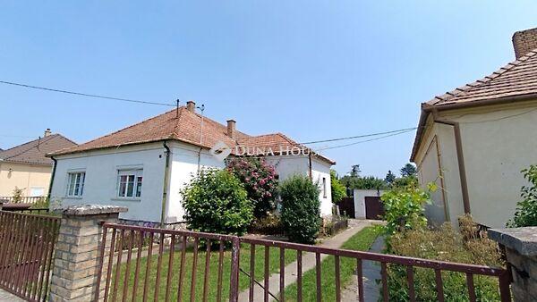 Szegfű, Bóly képe