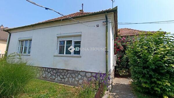 Szegfű, Bóly 2. képe