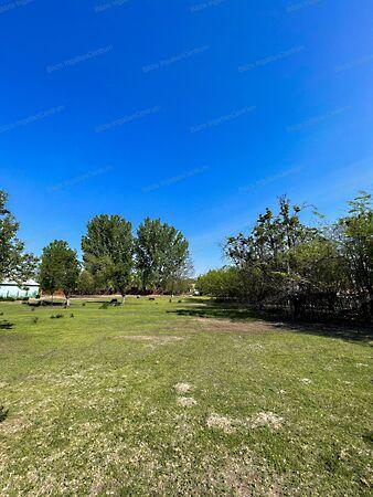 Kiskunhalas 3. képe