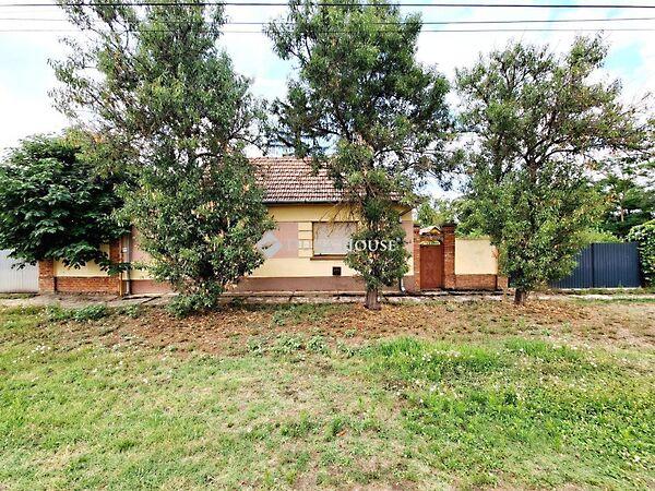 Öreg, Újkígyós képe