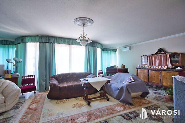 Szolnok, Szolnok képe