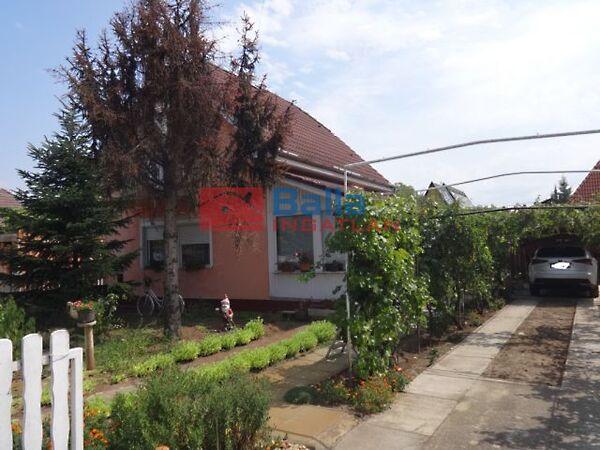 Szúnyog, Tiszakécske képe