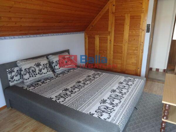 Szúnyog, Tiszakécske 2. képe