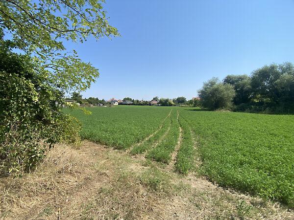 Mezőkeresztes képe