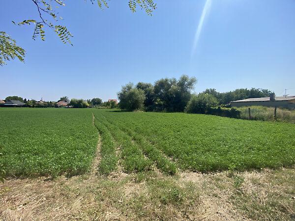 Mezőkeresztes 2. képe