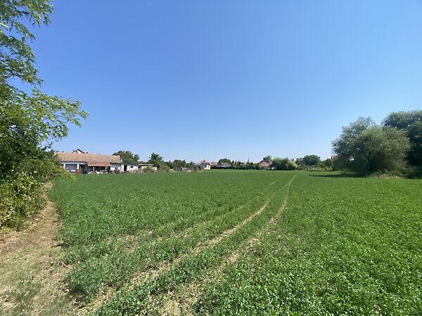 Mezőkeresztes 3. képe