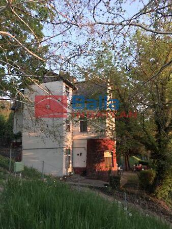 Balaton part, Balatonvilágos képe