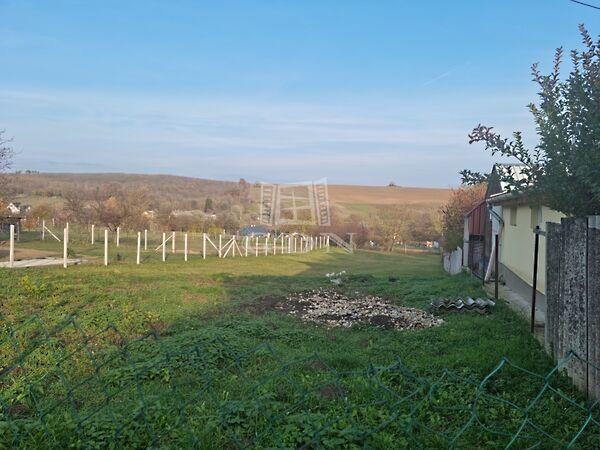 Csendes,, Pusztaszemes 2. képe