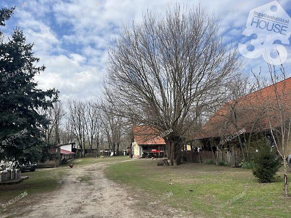 Szentkirály 3. képe