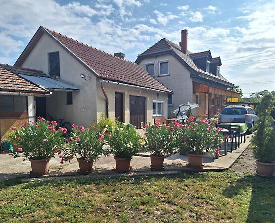 Szent László, Hódmezővásárhely 2. képe