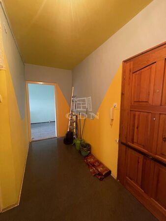 Építő, Szeged 3. képe