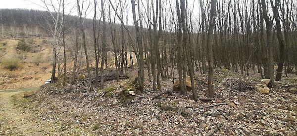 Füzérradvány képe