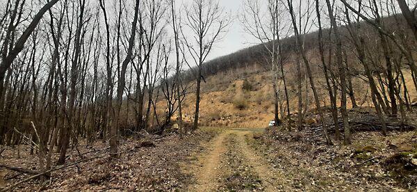 Füzérradvány 3. képe