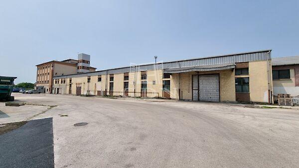 Székesfehérvár képe