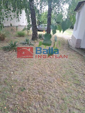 Petőfi, Beleg 2. képe