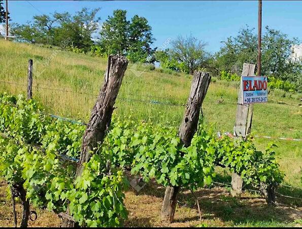 Kőröshegy 3. képe