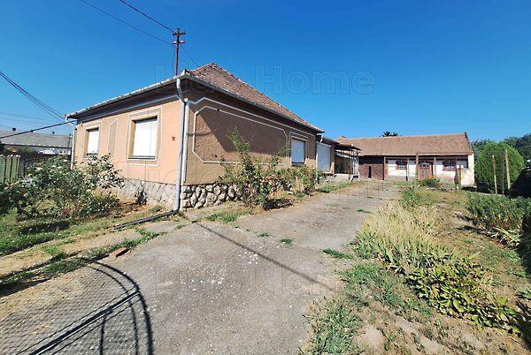 Csikóstőttős képe