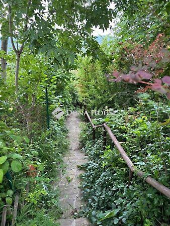 Budapest, II. kerület 2. képe