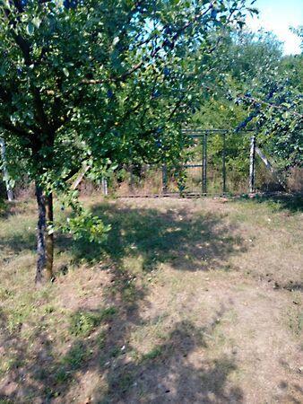 Gyomaendrőd 3. képe