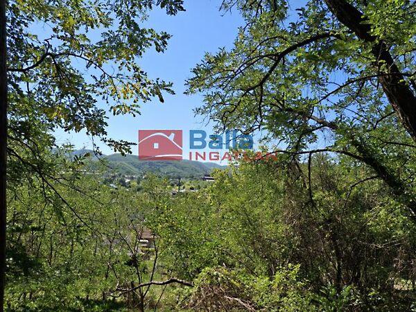 Pásztor, Ózd 3. képe