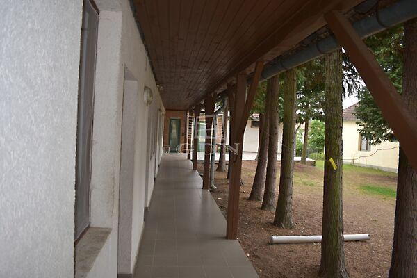 Petőfi, Szaknyér 3. képe