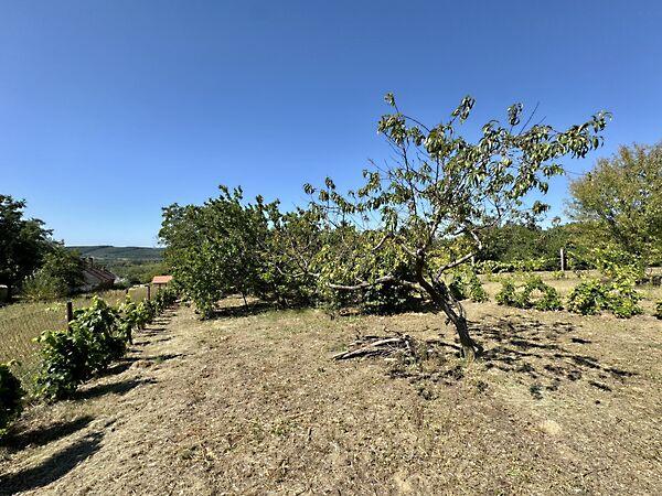 Vindornyaszőlős 3. képe