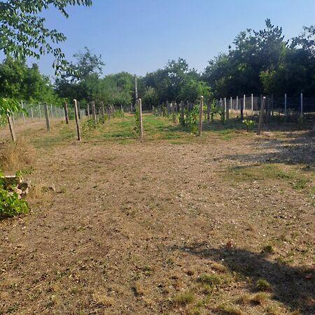 Judit Ingatlan és, Monor 3. képe