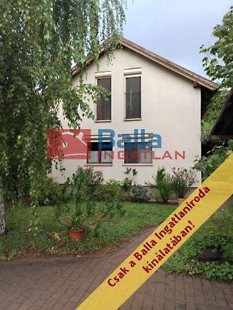 Narancs, Szigetszentmiklós képe