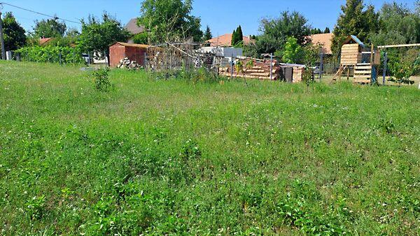 Szőlősgyörök képe