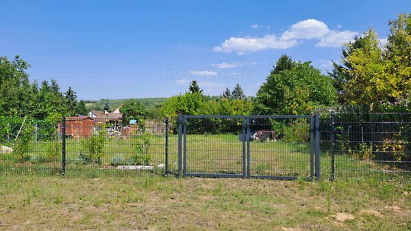 Szőlősgyörök 2. képe