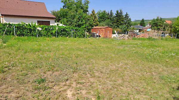 Szőlősgyörök 2. képe