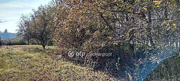 Harangláb, Kaposvár képe