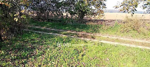 Harangláb, Kaposvár 2. képe