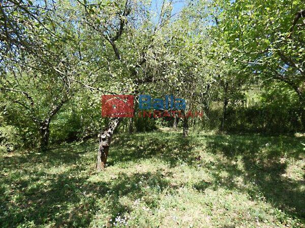 Pilisborosjenő képe